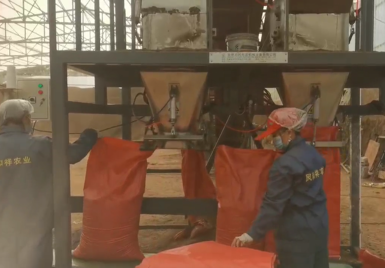 �P�����r�I(y��)���b�Cҕ�l